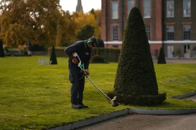 Someone tending to a garden, keeping a home well-cared-for and tidy